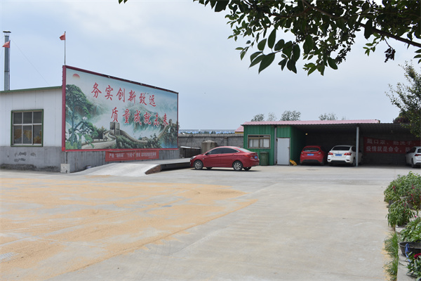 晾曬場(chǎng)